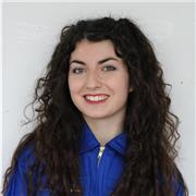 professeur de toutes les matières scientifiques et/ou linguistiques